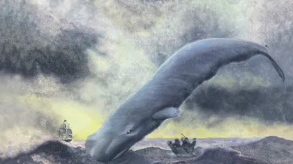 Adrian Năstase, comparat de fiul său cu Moby Dick. 