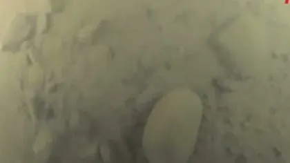 Obiect CIUDAT, asemănător unui OZN, descoperit în Marea Baltică VIDEO