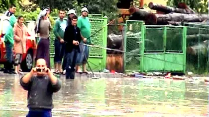 După potop, vâlcenii au ieşit la pescuit pe străzi VIDEO
