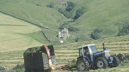 BBC: Românii lasă englezii fără locuri de muncă în agricultură