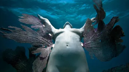 Lume de poveste sub ape: Sculpturile expuse pe fundul oceanului, finalizate de natură FOTO