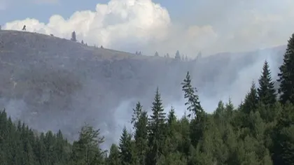 Incendiul de pădure se extinde în Munţii Harghitei VIDEO