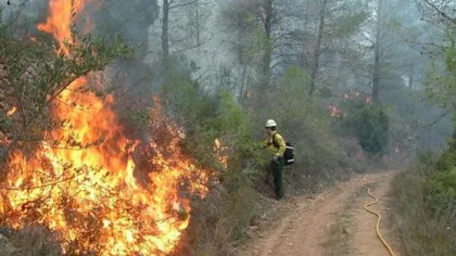 Incendiul de la Vârful Roşu din Făgăraş s-a extins pe o suprafaţă de 100 de hectare
