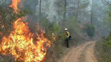 Incendiu puternic în judeţul Vaslui. O pădure de foioase şi conifere, mistuită de flăcări