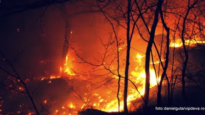 Incendiul de pe versantul din Braşov al Munţilor Făgăraş a fost stins