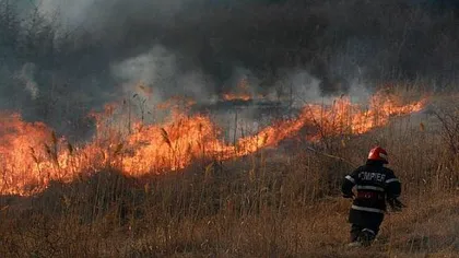 Incendiile de vegetaţie din Bacău au fost stinse după o săptămână