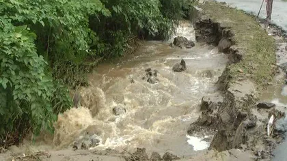 Zeci de case inundate de viitură, în Caraş Severin VIDEO