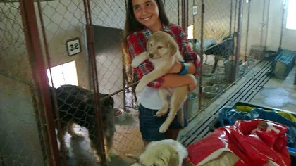 O fetiţă din Statele Unite şi-a donat economiile adăpostului de câini din Lugoj