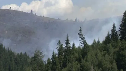 Un teren al Casei Regale din Masivul Bucegi arde de peste două zile