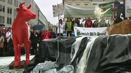 PROTEST INEDIT. Lapte aruncat pe străzile din Bruxelles VIDEO