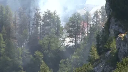 Incendiu de vegetaţie la cota 2000, pe versantul argeşean al Munţilor Făgăraş