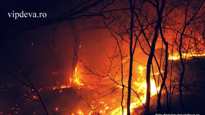 Alba: Incendiul de pădure din Munţii Şureanu a fost stins