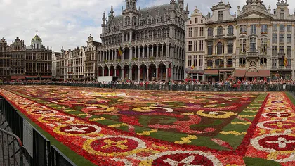 Celebrul covor de flori din Bruxelles va celebra anul acesta Africa