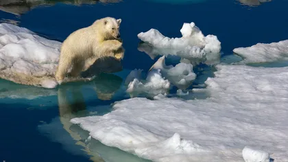Gheaţa de la Polul Nord, la un nivel minim record