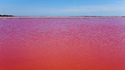 Un fenomen natural extraordinar: Lacul din Franţa care a devenit roşu ca sângele FOTO