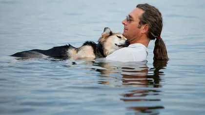 Imaginea care a topit inimile: Un câine bolnav adoarme în braţele stăpânului, într-un lac FOTO