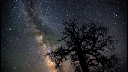 Spectacol pe cer, în acest weekend: Curentul de meteori Perseide a ajuns la maxim