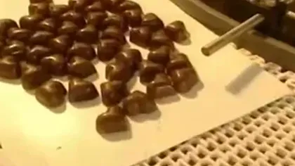 Cercetătorii britanici au inventat un tip de ciocolată care nu îngraşă