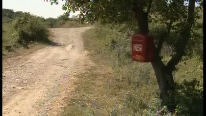 Sătenii îşi fac cruce: Cutie poştală, cocoţată în copac pe un deal VIDEO