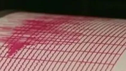 Un cutremur de 3,2 s-a produs în Vrancea