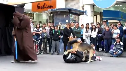 Darth Vader, atacat de un câine VIDEO