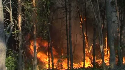 Incendiu puternic de vegetaţie în Baia Mare. Doi pompieri au ajuns intoxicaţi la spital