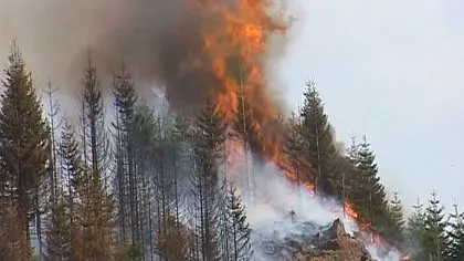 Maramureş: Focare de incendiu mocnite pe versantul Creasta Cocoşului, Munţii Gutâi