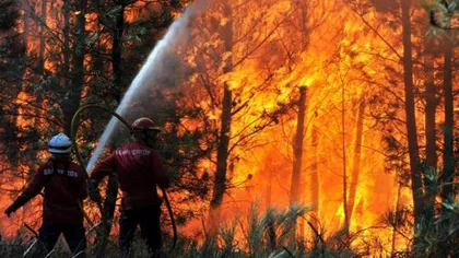Incendiu de vegetaţie în Munţii Apuseni, într-o zonă greu accesibilă