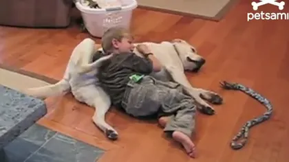 Adorabil: Un copil şi un căţel se scarpină unul pe celălalt VIDEO