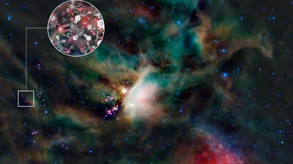 Zaharuri, esenţiale vieţii, descoperite în jurul unei stele similare Soarelui VIDEO