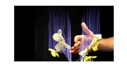 Cum poţi să transformi o plantă vie într-un instrument muzical VIDEO