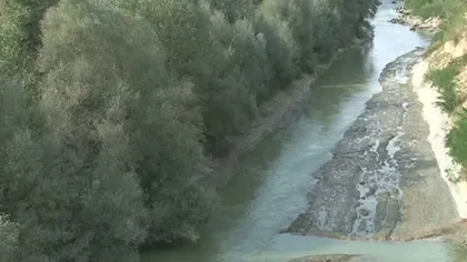 Schelet uman, găsit pe marginea râului Argeş VIDEO