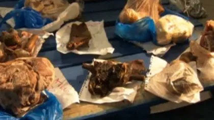 Carne ilegală şi şobolani de vânzare în Londra VIDEO