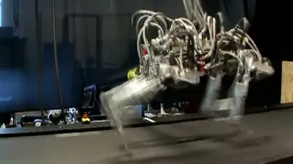 Un robot mai iute de picior decât Usain Bolt VIDEO