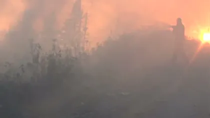 Incendiu de proporţii în Masivul Cozia: 70 de oameni intervin pentru stingerea focului