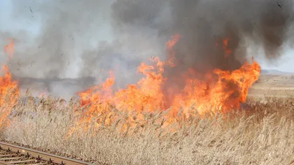 Incendiu lângă Craiova. 20 de hectare de vegetaţie ard