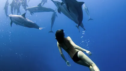 Femeia care trăieşte laolaltă cu delfinii: 