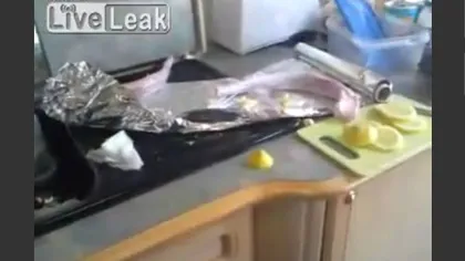 ÎNFRICOŞĂTOR! Doi peşti evisceraţi se zbat pe masă înainte de a fi gătiţi VIDEO
