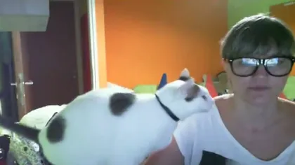 Ce face o pisică pentru a fi alintată de stăpâna ei VIDEO