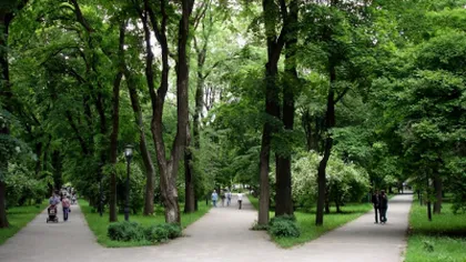 Primăria Bucureştiului finanţează amenajarea unui parc în Chişinău