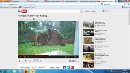 IMAGINI INCREDIBILE: Un copac uriaş este smuls din rădăcini de uraganul Sandy VIDEO
