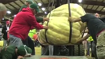Un fermier a intrat în Cartea Recordurilor cu cel mai mare dovleac VIDEO