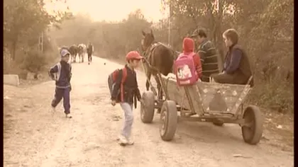 Elevii dintr-o comună doljeană merg la şcoală cu căruţa, deşi au microbuz VIDEO