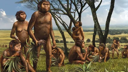 STUDIU: Primul strămoş biped al omului trăia în copaci