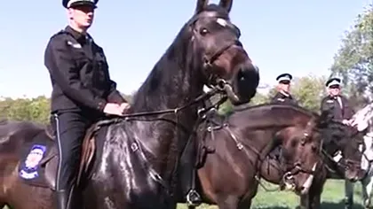 Poliţia din Capitală a reintrodus patrulele călare în parcuri