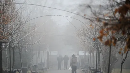 Meteorologii au emis COD GALBEN DE VÂNT în Dobrogea