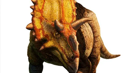 Înfricoşătorul erbivor: Experţii au descoperit o nouă specie de dinozaur cu coarne FOTO