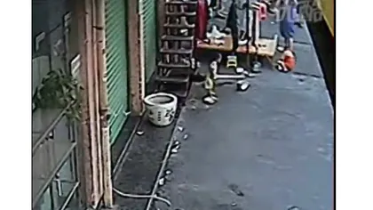 Cum s-a răzbunat un căţel pe un copil care i-a călcat în farfuria cu mâncare VIDEO FUNNY