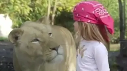 O fetiţă simpatică se sperie de o leoaică adorabilă VIDEO