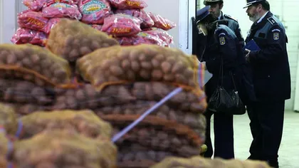 Poliţiştii au descins la vânzătorii en gros de legume şi fructe, după suspecţii de evaziune fiscală